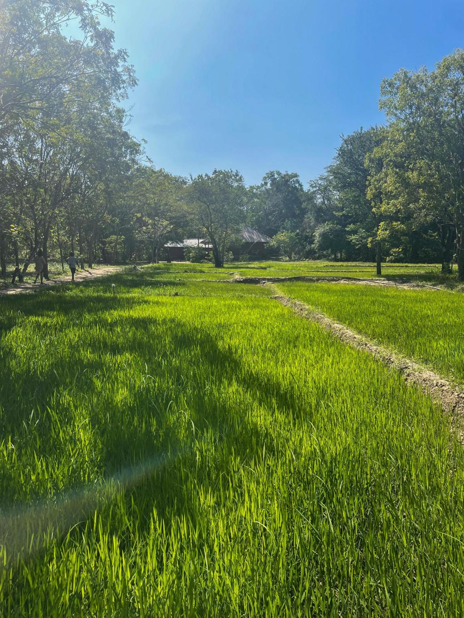 Sahana Retreat Buttala Экстерьер фото