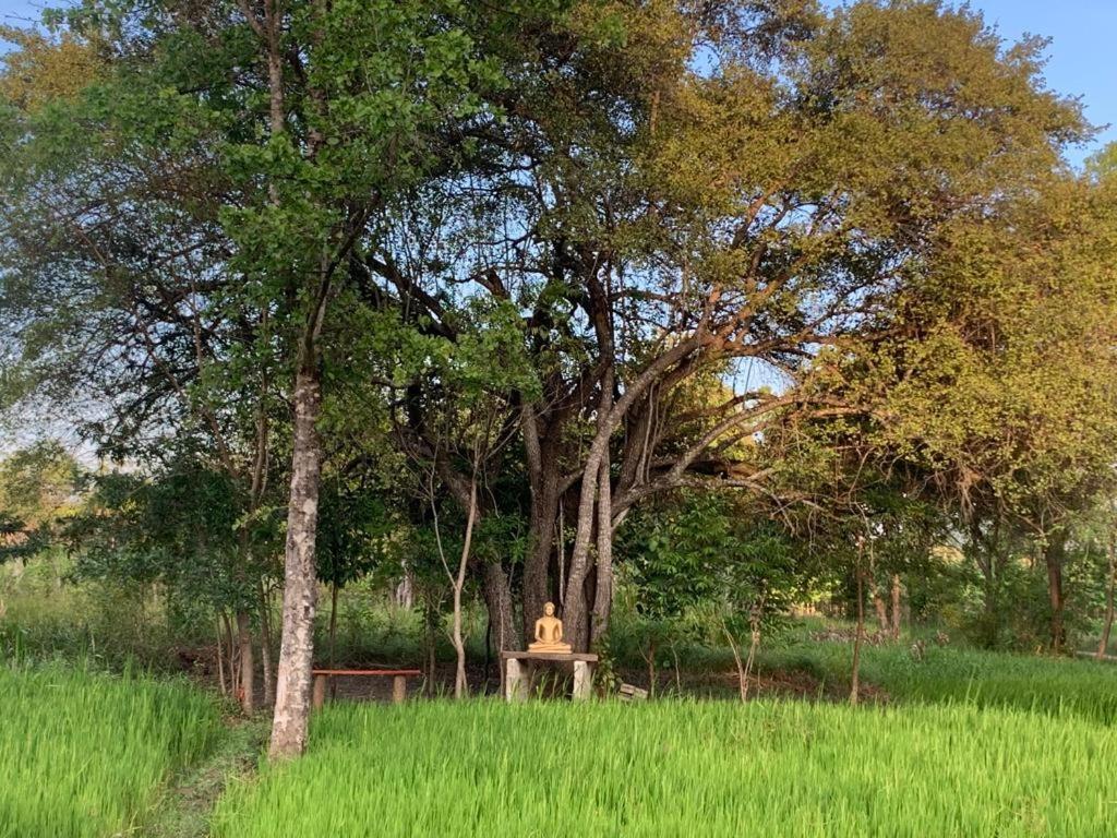 Sahana Retreat Buttala Экстерьер фото